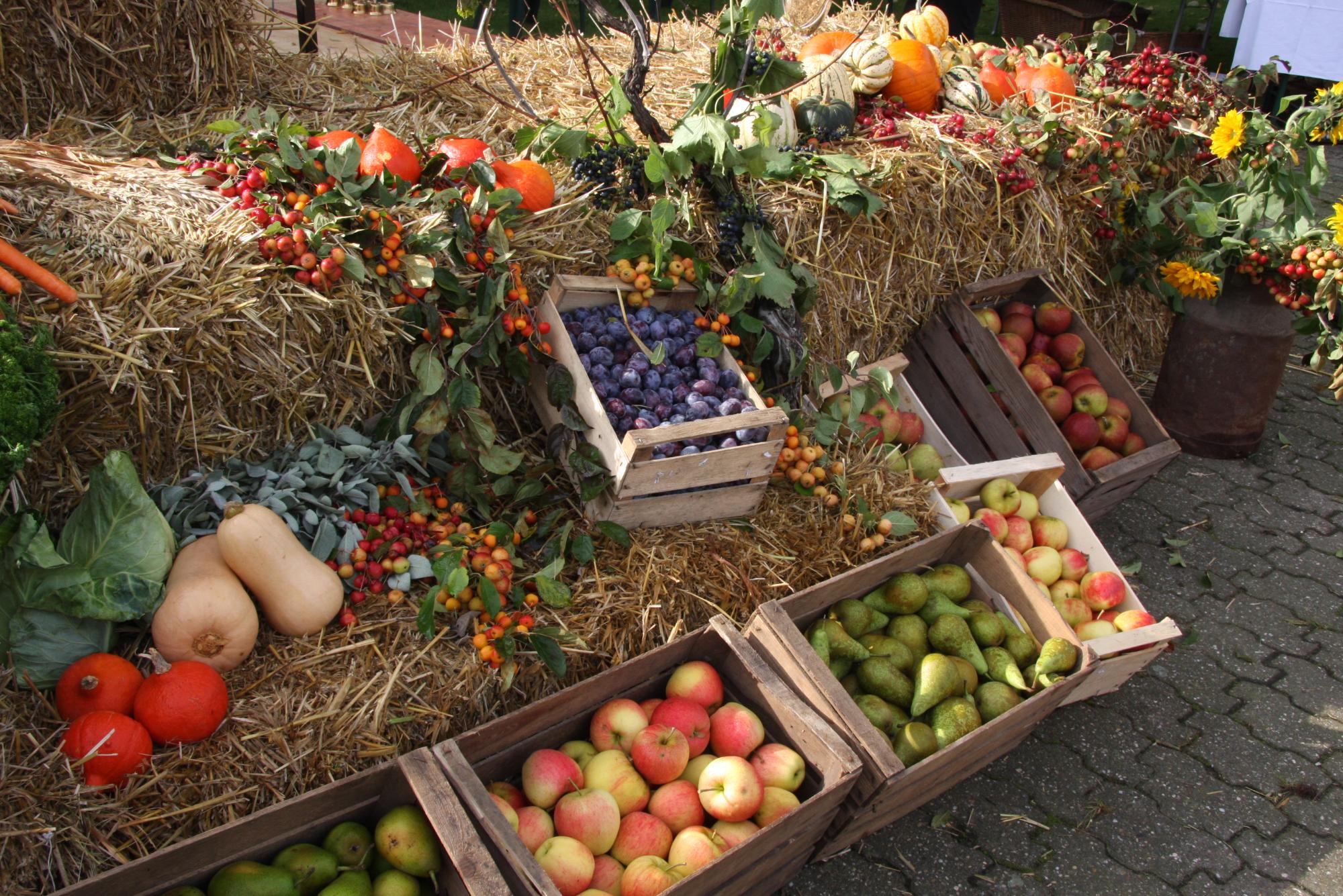 Erntedank 2014