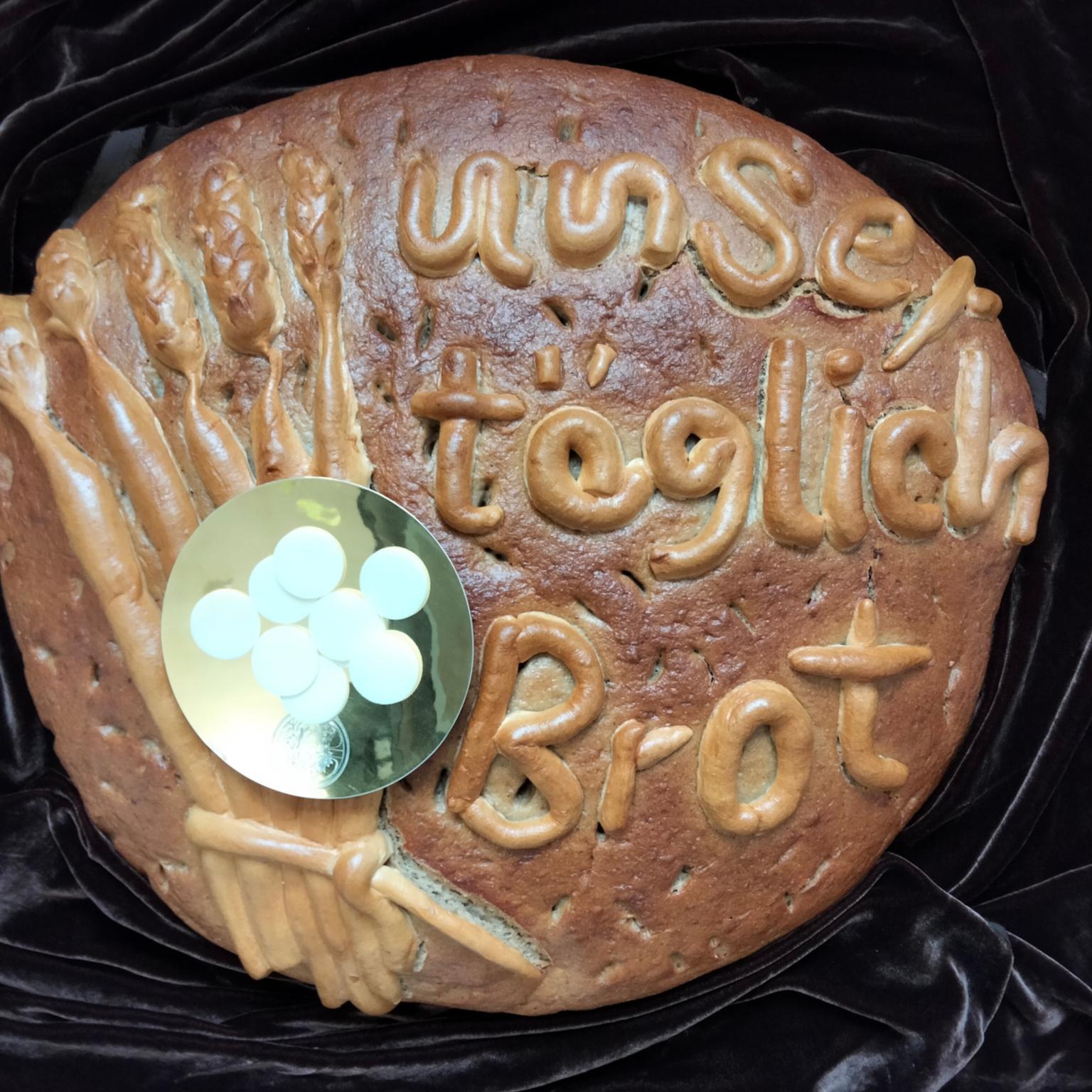 IMG20230321113758Barbara Strüder