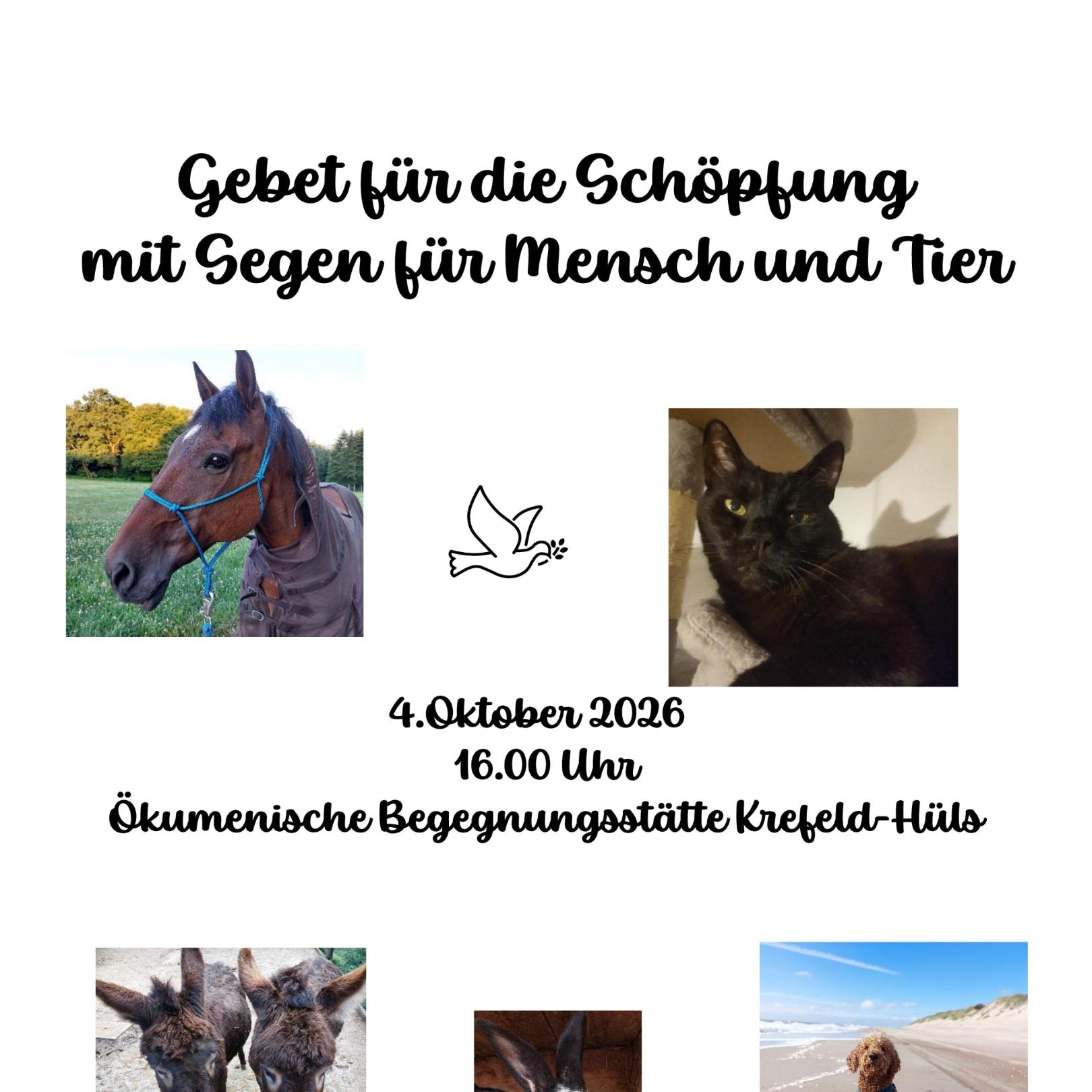 Plakat zur Tiersegnung
