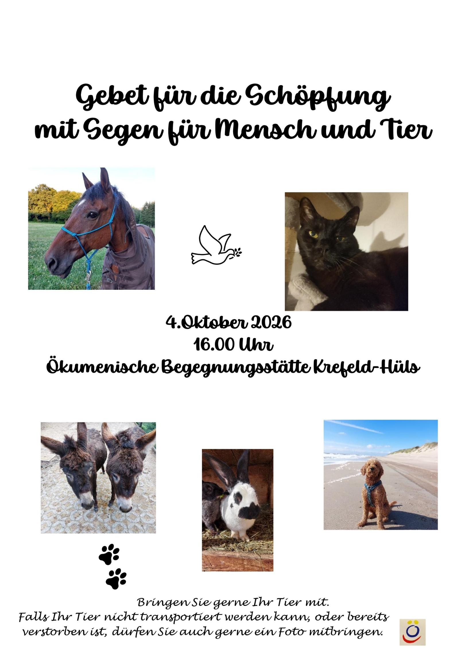 Plakat zur Tiersegnung (c) Raphaela Reindorf
