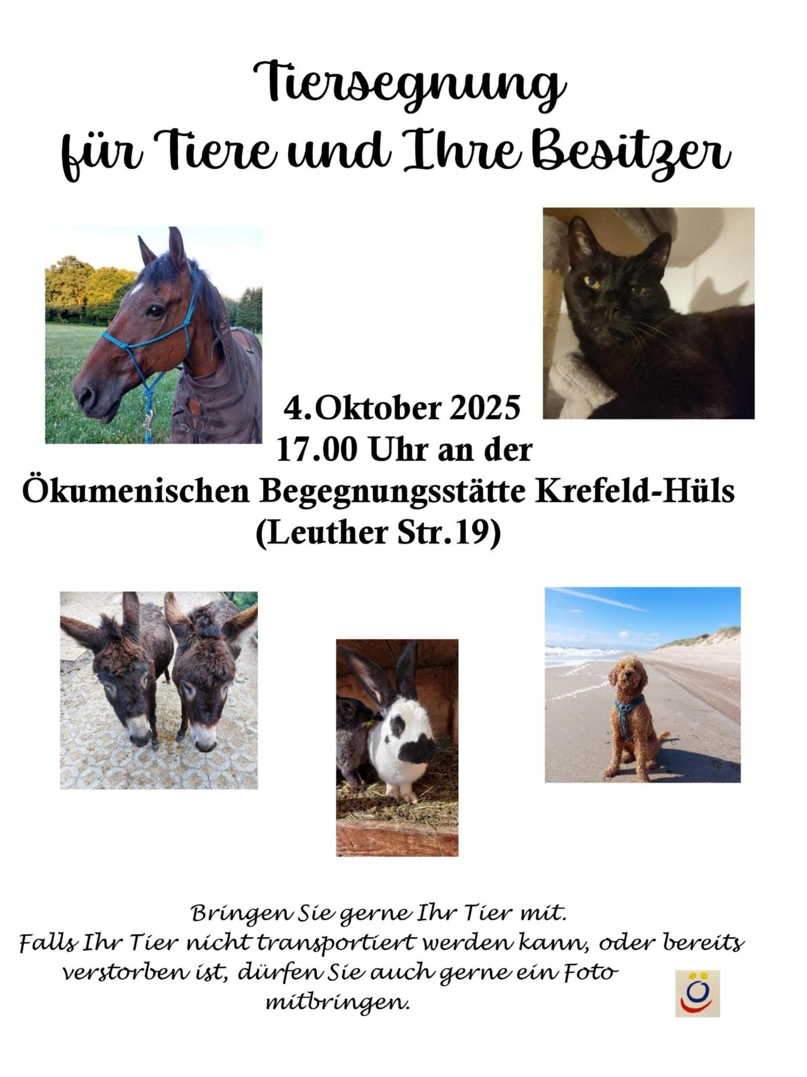 Tiersegnung 2025 Ökumenische Begegnungsstätte (c) Raphaela Reindorf