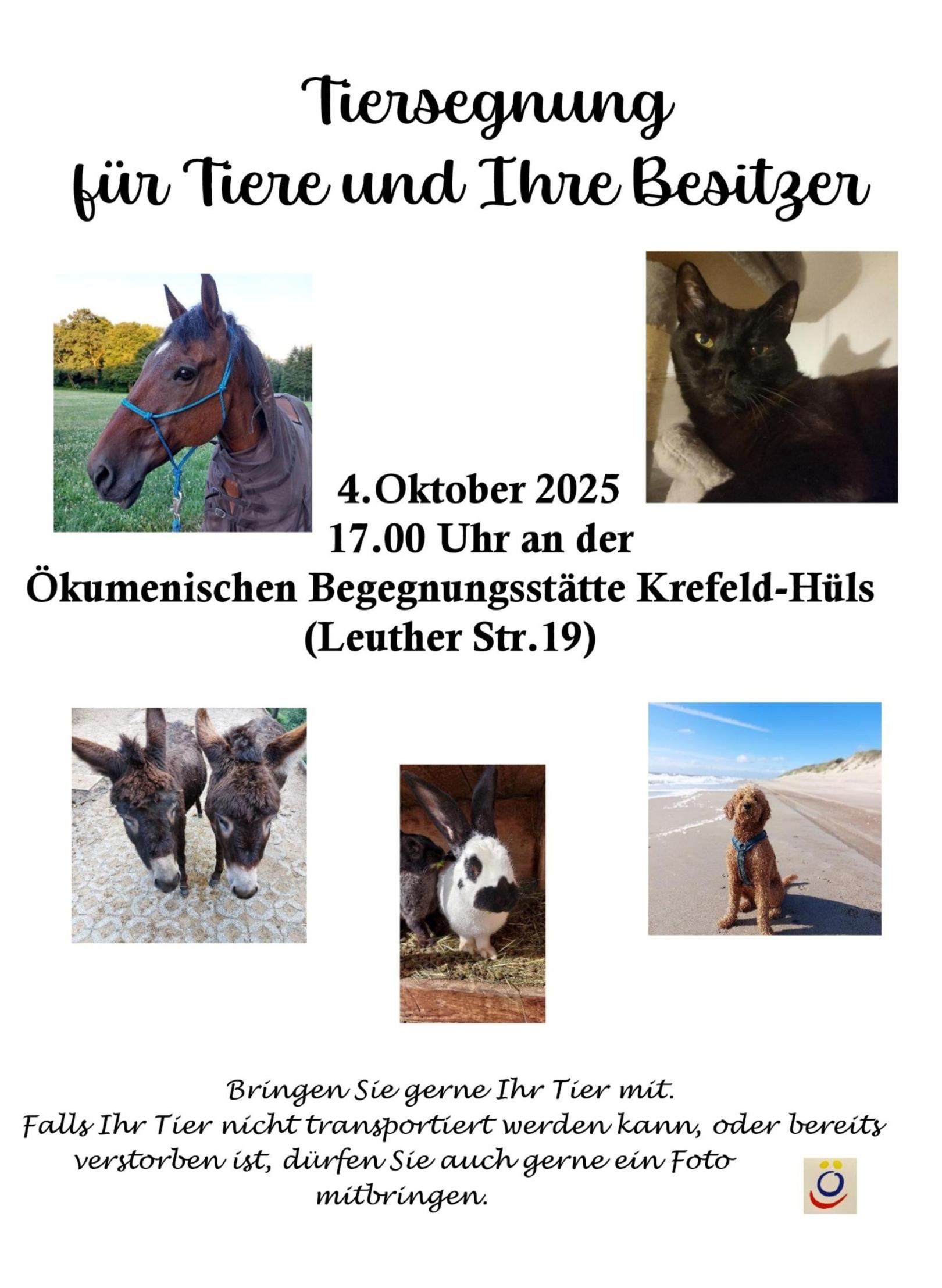 Tiersegnung 2025 Ökumenische Begegnungsstätte (c) Raphaela Reindorf